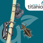 Miniatura Titanio (768 x 617 px) (1)