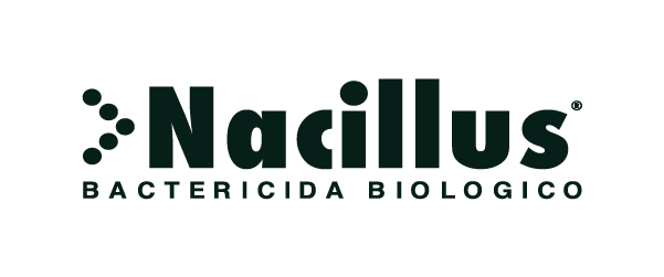 nacillus