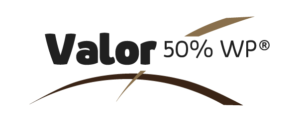 valor