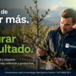 APROBADO VP IMAGEN ARTICULO