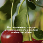 Captura de pantalla 2026-07-29 a la(s) 6.25.15 p.m.