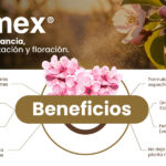 Dormex