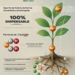 FOLLETO CALCIOCHEM 8020 -2025