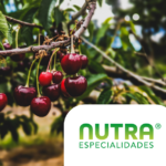 Miniatura Programas Nutra_SmarCherry(768 x 617px) (1)