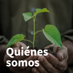 smartcherry-quienes-somos-II