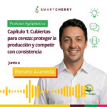 Imagen para Spotify 26 (1)