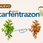 MiniaturaCarfentrazon_Smartcherry_V2