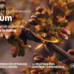 Banner Smartcherry_Banner 2 (2)