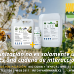IMAGEN ARTICULO SMARTCHERRY COLLERA PERFECTA POLINIZACIÓN