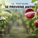 LA PARTIDURA_Vadpagro