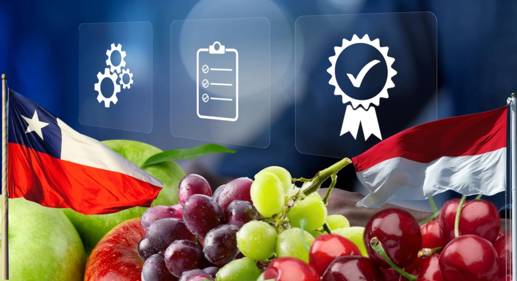 Chile-Indonesia-cerezas-uvas
