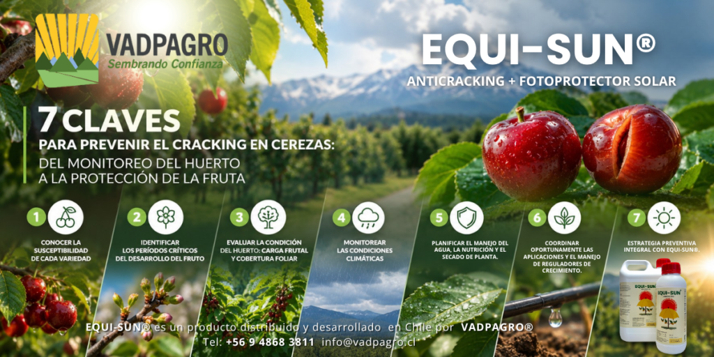 EQUISUN ANTICRAKING imagen